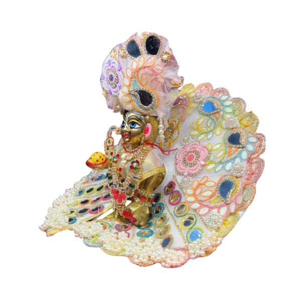 Rajsi Kanha Embroidered Mirror Dress - Image 4